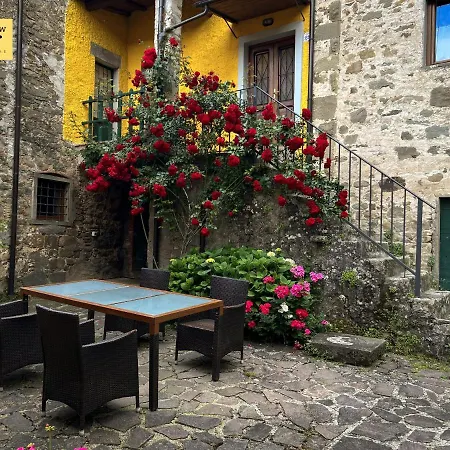 Yellow Corner